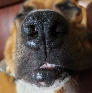 Meet your Posher, Timm